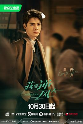 seo要用什么域名